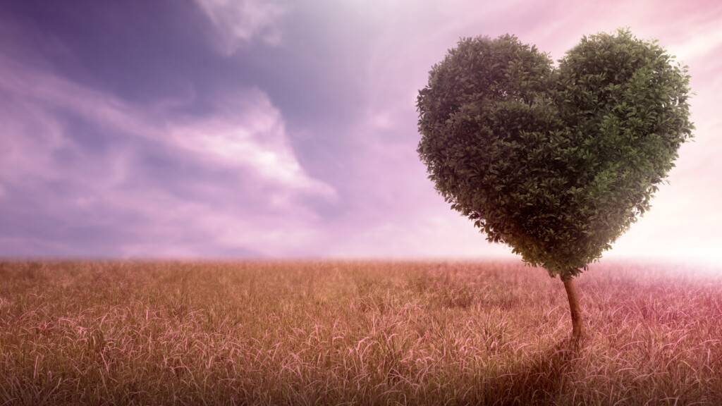 A VIDA FALA SE HÁ UM CORAÇÃO QUE ESCUTE